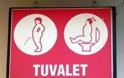 Απίστευτες πινακίδες διαχωρισμού της τουαλέτας στον κόσμο [photos] - Φωτογραφία 7