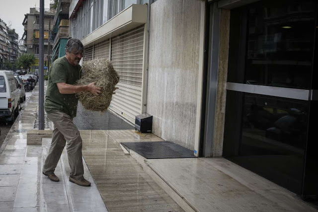 Επίθεση με σανό στα γραφεία των ΑΝ.ΕΛ. στην Αθήνα [εικόνες] - Φωτογραφία 5