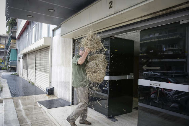 Επίθεση με σανό στα γραφεία των ΑΝ.ΕΛ. στην Αθήνα [εικόνες] - Φωτογραφία 6