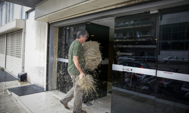 Πέταξαν σανό στα γραφεία των Ανεξάρτητων Ελλήνων (ΦΩΤΟ) - Φωτογραφία 2