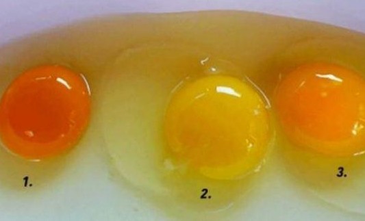 Κρόκος αυγού: Ποιος από τους τρεις σας φαίνεται πιο υγιεινός; - Φωτογραφία 1