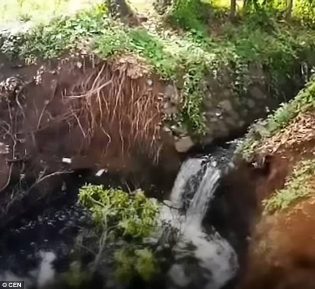 Σοκ στην Ινδία: Σκύλοι αλλάζουν χρώμα και γίνονται μπλε - Ο λόγος που συμβαίνει αυτό, σοκάρει... [photos] - Φωτογραφία 4