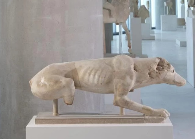 Σημαντικό εύρημα στην Ακρόπολη: Βρέθηκε γλυπτό σκύλου από το 520 π.Χ. κοντά στον Παρθενώνα [photo] - Φωτογραφία 2