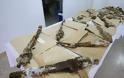 Τα όπλα των πεσόντων Ελλήνων καταδρομέων του Νοράτλας σε μουσεία