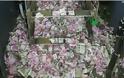 Τα χρήματα έχουν ωραία… γεύση: Αρουραίοι ροκάνισαν 17.600 δολάρια σε ATM - Φωτογραφία 1