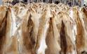 Καστοριά: Εξαρθρώθηκε σπείρα με διεθνή δράση που έκλεβε πανάκριβες γούνες