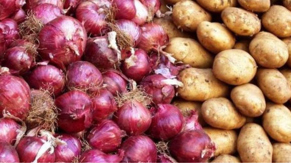 Πώς το κρεμμύδι και η πατάτα απειλούν τα ποσοστά του Ερντογάν λίγες ώρες πριν τις εκλογές - Φωτογραφία 1