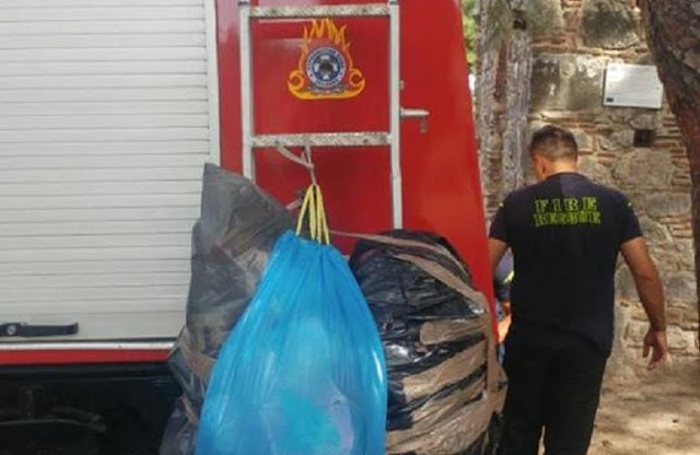 Χίος: Καθάρισαν την Κρίνα οι πυροσβέστες που τη «φρουρούν» - Φωτογραφία 1