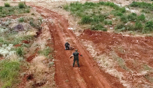 Άσκηση από τη Μεραρχία Υποστήριξης με Στρατιωτικούς Σκύλους - Φωτογραφία 16