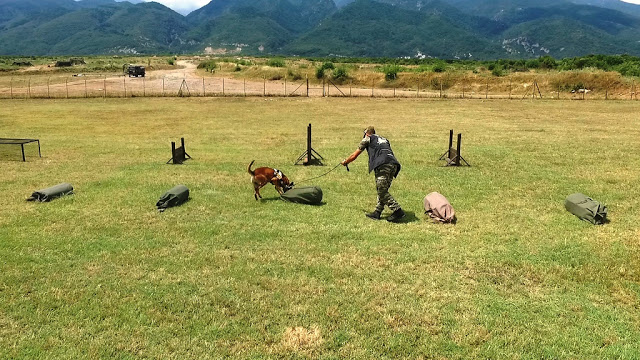 Άσκηση από τη Μεραρχία Υποστήριξης με Στρατιωτικούς Σκύλους - Φωτογραφία 17