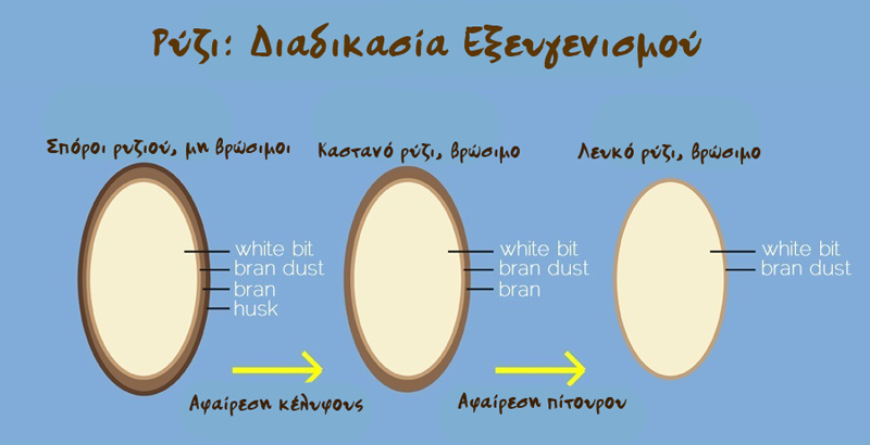 Καστανό ρύζι ή λευκό; Γνωρίστε τα πάντα για τη διατροφή τους αξία! - Φωτογραφία 3