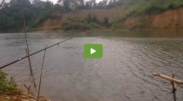 Ψάρεμα: Με αυτόν τον τρόπο βγάζουν 10 ψαρούκλες την ώρα [video] - Φωτογραφία 1