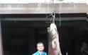Ψαράς από το Βελβεντό έβγαλε ψάρι 84 κιλών! - Φωτογραφία 2