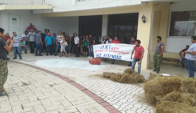 Συλλαλητήριο κτηνοτρόφων στην Περιφερειακή Ενότητα Αιτωλοακαρνανίας (φωτο) - Φωτογραφία 2