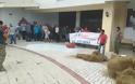 Συλλαλητήριο κτηνοτρόφων στην Περιφερειακή Ενότητα Αιτωλοακαρνανίας (φωτο) - Φωτογραφία 2