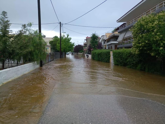 Βόρεια Εύβοια: «Βούλιαξε» το Πευκί από την κακοκαιρία! (ΦΩΤΟ) - Φωτογραφία 2