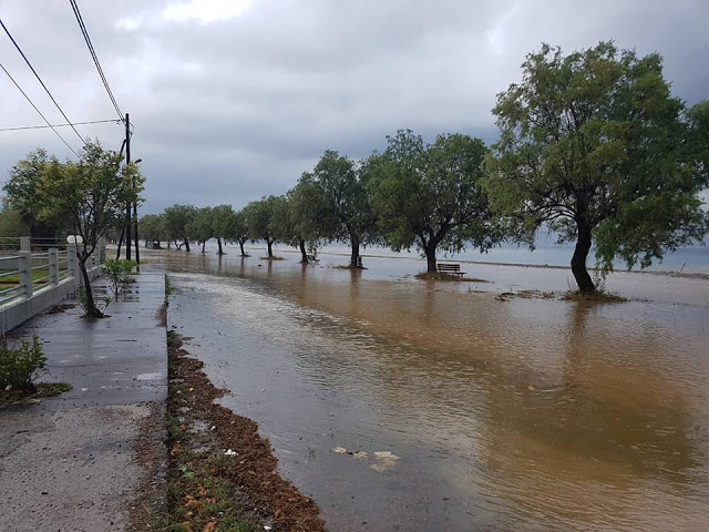 Βόρεια Εύβοια: «Βούλιαξε» το Πευκί από την κακοκαιρία! (ΦΩΤΟ) - Φωτογραφία 7