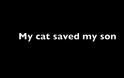Απίστευτη γάτα-κομάντο σώζει αγοράκι [video]