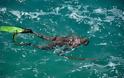 Οδηγίες και απαγορεύσεις για το υποβρύχιο ψάρεμα από το υπουργείο Ναυτιλίας