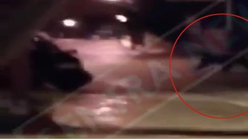 Βίντεο: Αρκούδα βγήκε για... βόλτα σε πλατεία χωριού στην Καστοριά - Φωτογραφία 1