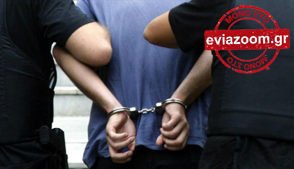 Χαλκίδα: Συνελήφθη 30χρονος Αλβανός που έκλεψε φορτηγό από την Αρτάκη - Οδηγούσε μεθυσμένος! - Φωτογραφία 1