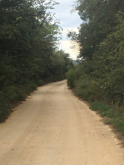 Ο Κάμπος της Κατούνας μαραζώνει απο την εγκατάλειψη… -(ΦΩΤΟ) - Φωτογραφία 11