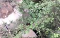 Ο Κάμπος της Κατούνας μαραζώνει απο την εγκατάλειψη… -(ΦΩΤΟ) - Φωτογραφία 4