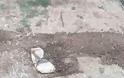 Ο Κάμπος της Κατούνας μαραζώνει απο την εγκατάλειψη… -(ΦΩΤΟ) - Φωτογραφία 6