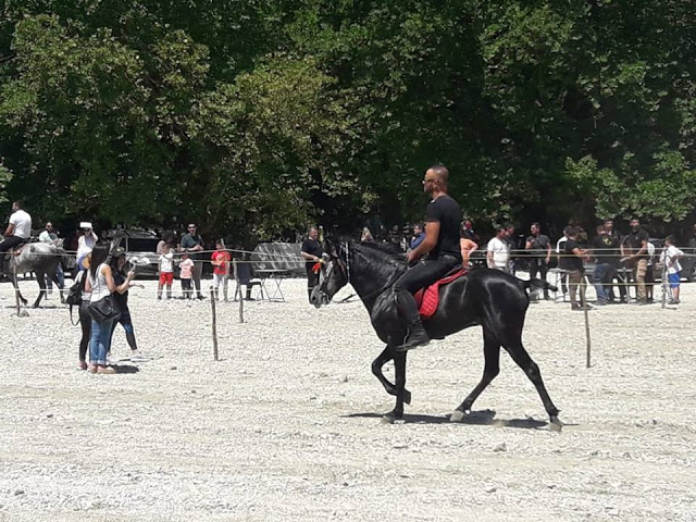 Πραγματοποιήθηκε το 10ο Αντάμωμα Καβαλάρηδων και Φίλων αλόγου, στη μαγευτική Νήσσα Μεδεώνος -(ΠΟΛΛΕΣ ΦΩΤΟ: Στέλλα Λιάπη) - Φωτογραφία 102