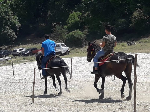 Πραγματοποιήθηκε το 10ο Αντάμωμα Καβαλάρηδων και Φίλων αλόγου, στη μαγευτική Νήσσα Μεδεώνος -(ΠΟΛΛΕΣ ΦΩΤΟ: Στέλλα Λιάπη) - Φωτογραφία 103