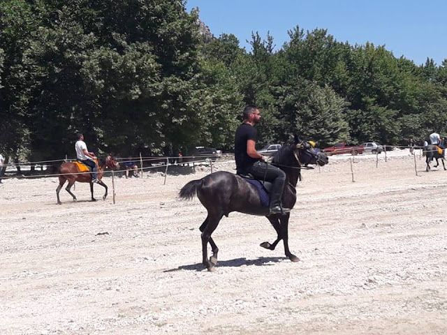 Πραγματοποιήθηκε το 10ο Αντάμωμα Καβαλάρηδων και Φίλων αλόγου, στη μαγευτική Νήσσα Μεδεώνος -(ΠΟΛΛΕΣ ΦΩΤΟ: Στέλλα Λιάπη) - Φωτογραφία 110