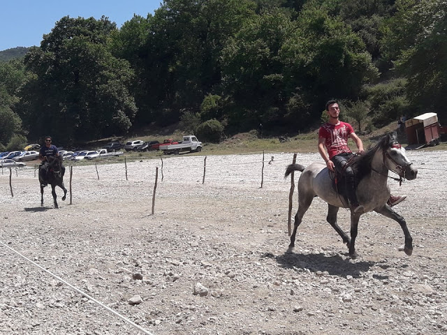 Πραγματοποιήθηκε το 10ο Αντάμωμα Καβαλάρηδων και Φίλων αλόγου, στη μαγευτική Νήσσα Μεδεώνος -(ΠΟΛΛΕΣ ΦΩΤΟ: Στέλλα Λιάπη) - Φωτογραφία 113