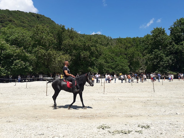 Πραγματοποιήθηκε το 10ο Αντάμωμα Καβαλάρηδων και Φίλων αλόγου, στη μαγευτική Νήσσα Μεδεώνος -(ΠΟΛΛΕΣ ΦΩΤΟ: Στέλλα Λιάπη) - Φωτογραφία 120