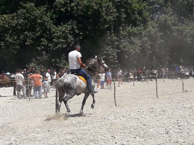 Πραγματοποιήθηκε το 10ο Αντάμωμα Καβαλάρηδων και Φίλων αλόγου, στη μαγευτική Νήσσα Μεδεώνος -(ΠΟΛΛΕΣ ΦΩΤΟ: Στέλλα Λιάπη) - Φωτογραφία 127