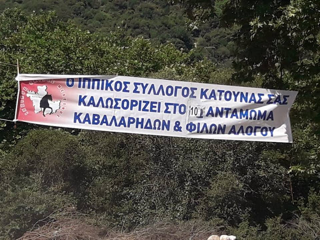 Πραγματοποιήθηκε το 10ο Αντάμωμα Καβαλάρηδων και Φίλων αλόγου, στη μαγευτική Νήσσα Μεδεώνος -(ΠΟΛΛΕΣ ΦΩΤΟ: Στέλλα Λιάπη) - Φωτογραφία 129