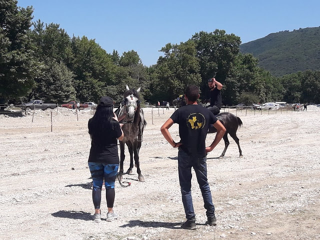 Πραγματοποιήθηκε το 10ο Αντάμωμα Καβαλάρηδων και Φίλων αλόγου, στη μαγευτική Νήσσα Μεδεώνος -(ΠΟΛΛΕΣ ΦΩΤΟ: Στέλλα Λιάπη) - Φωτογραφία 137