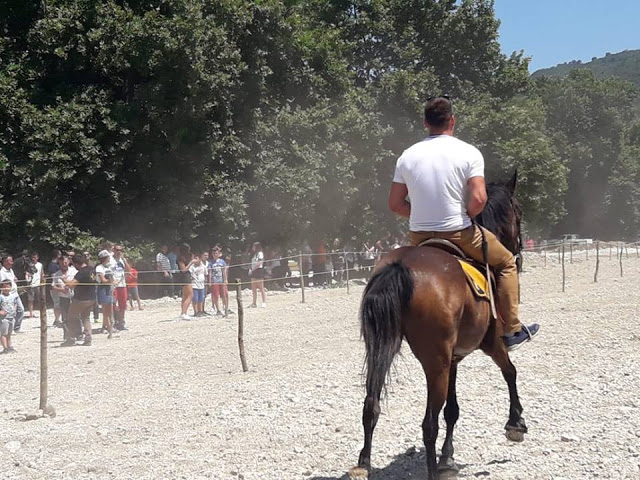 Πραγματοποιήθηκε το 10ο Αντάμωμα Καβαλάρηδων και Φίλων αλόγου, στη μαγευτική Νήσσα Μεδεώνος -(ΠΟΛΛΕΣ ΦΩΤΟ: Στέλλα Λιάπη) - Φωτογραφία 139