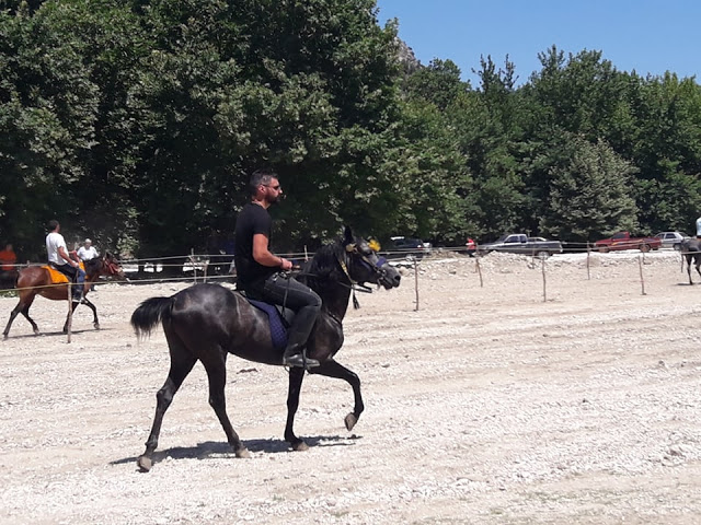 Πραγματοποιήθηκε το 10ο Αντάμωμα Καβαλάρηδων και Φίλων αλόγου, στη μαγευτική Νήσσα Μεδεώνος -(ΠΟΛΛΕΣ ΦΩΤΟ: Στέλλα Λιάπη) - Φωτογραφία 149