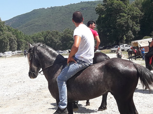 Πραγματοποιήθηκε το 10ο Αντάμωμα Καβαλάρηδων και Φίλων αλόγου, στη μαγευτική Νήσσα Μεδεώνος -(ΠΟΛΛΕΣ ΦΩΤΟ: Στέλλα Λιάπη) - Φωτογραφία 150