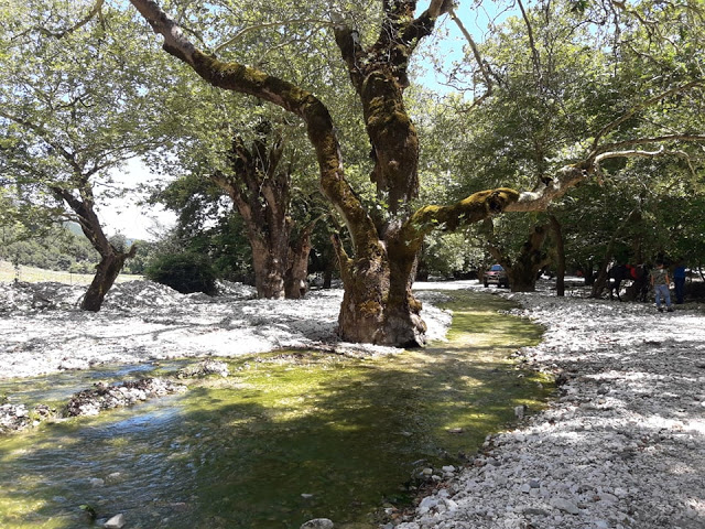 Πραγματοποιήθηκε το 10ο Αντάμωμα Καβαλάρηδων και Φίλων αλόγου, στη μαγευτική Νήσσα Μεδεώνος -(ΠΟΛΛΕΣ ΦΩΤΟ: Στέλλα Λιάπη) - Φωτογραφία 169