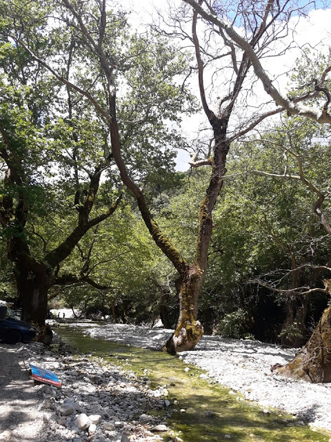 Πραγματοποιήθηκε το 10ο Αντάμωμα Καβαλάρηδων και Φίλων αλόγου, στη μαγευτική Νήσσα Μεδεώνος -(ΠΟΛΛΕΣ ΦΩΤΟ: Στέλλα Λιάπη) - Φωτογραφία 170