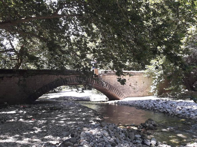 Πραγματοποιήθηκε το 10ο Αντάμωμα Καβαλάρηδων και Φίλων αλόγου, στη μαγευτική Νήσσα Μεδεώνος -(ΠΟΛΛΕΣ ΦΩΤΟ: Στέλλα Λιάπη) - Φωτογραφία 171