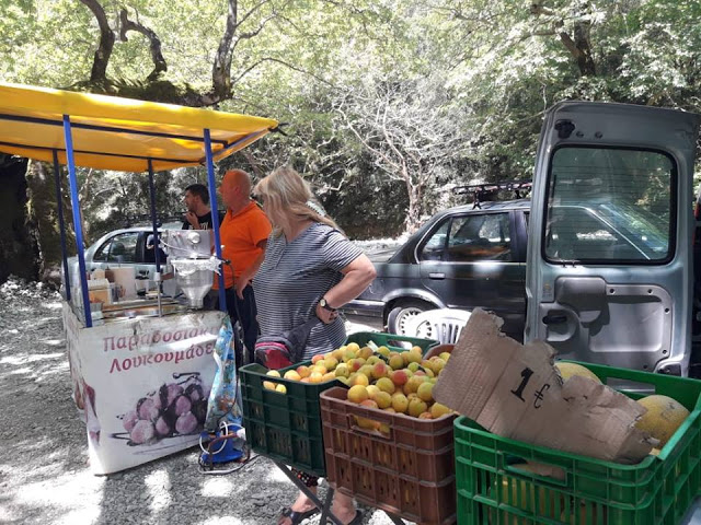 Πραγματοποιήθηκε το 10ο Αντάμωμα Καβαλάρηδων και Φίλων αλόγου, στη μαγευτική Νήσσα Μεδεώνος -(ΠΟΛΛΕΣ ΦΩΤΟ: Στέλλα Λιάπη) - Φωτογραφία 179