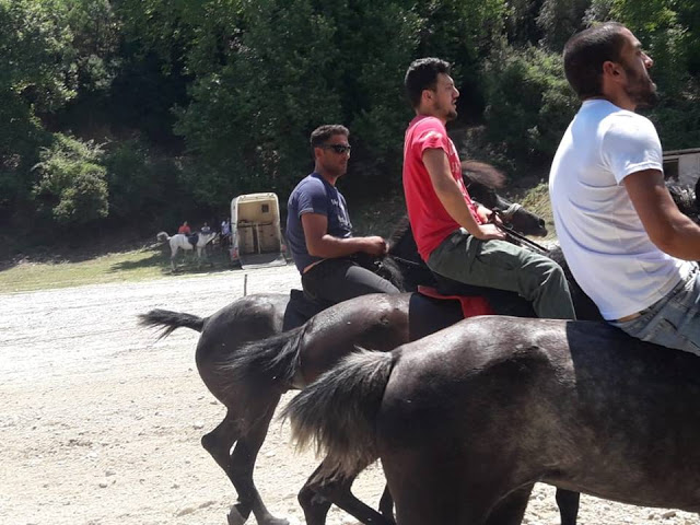 Πραγματοποιήθηκε το 10ο Αντάμωμα Καβαλάρηδων και Φίλων αλόγου, στη μαγευτική Νήσσα Μεδεώνος -(ΠΟΛΛΕΣ ΦΩΤΟ: Στέλλα Λιάπη) - Φωτογραφία 19