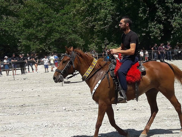 Πραγματοποιήθηκε το 10ο Αντάμωμα Καβαλάρηδων και Φίλων αλόγου, στη μαγευτική Νήσσα Μεδεώνος -(ΠΟΛΛΕΣ ΦΩΤΟ: Στέλλα Λιάπη) - Φωτογραφία 27