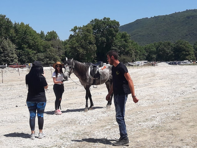 Πραγματοποιήθηκε το 10ο Αντάμωμα Καβαλάρηδων και Φίλων αλόγου, στη μαγευτική Νήσσα Μεδεώνος -(ΠΟΛΛΕΣ ΦΩΤΟ: Στέλλα Λιάπη) - Φωτογραφία 30