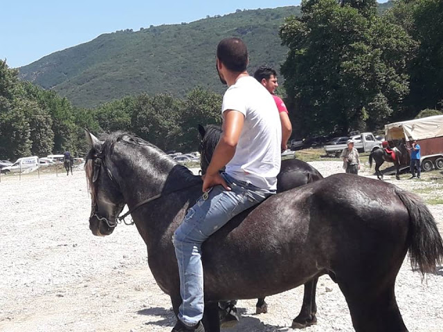 Πραγματοποιήθηκε το 10ο Αντάμωμα Καβαλάρηδων και Φίλων αλόγου, στη μαγευτική Νήσσα Μεδεώνος -(ΠΟΛΛΕΣ ΦΩΤΟ: Στέλλα Λιάπη) - Φωτογραφία 56