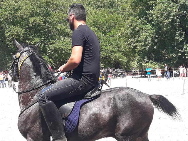 Πραγματοποιήθηκε το 10ο Αντάμωμα Καβαλάρηδων και Φίλων αλόγου, στη μαγευτική Νήσσα Μεδεώνος -(ΠΟΛΛΕΣ ΦΩΤΟ: Στέλλα Λιάπη) - Φωτογραφία 83