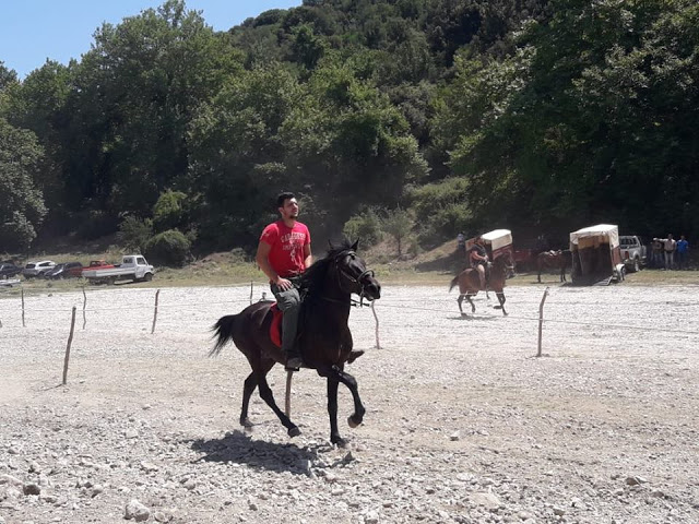 Πραγματοποιήθηκε το 10ο Αντάμωμα Καβαλάρηδων και Φίλων αλόγου, στη μαγευτική Νήσσα Μεδεώνος -(ΠΟΛΛΕΣ ΦΩΤΟ: Στέλλα Λιάπη) - Φωτογραφία 84