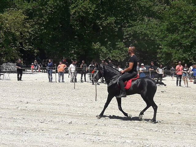 Πραγματοποιήθηκε το 10ο Αντάμωμα Καβαλάρηδων και Φίλων αλόγου, στη μαγευτική Νήσσα Μεδεώνος -(ΠΟΛΛΕΣ ΦΩΤΟ: Στέλλα Λιάπη) - Φωτογραφία 90